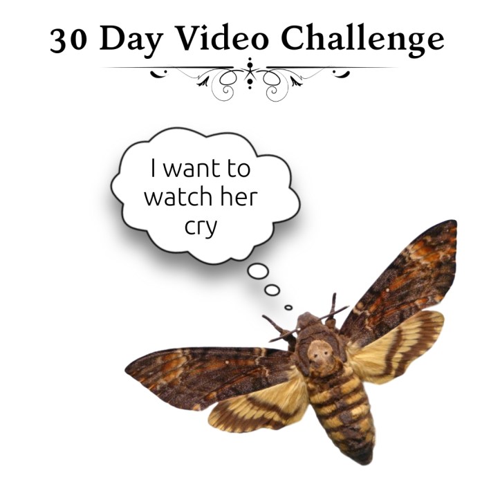 30 Day Video Challenge