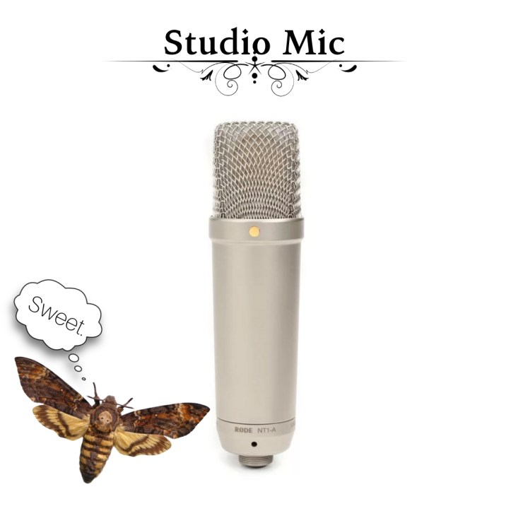 Studio Mic